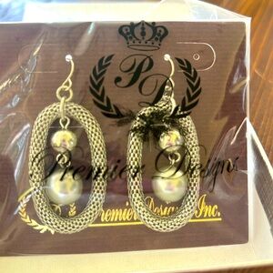 Brand new never worn cocktail style earrings. From Premier Designs